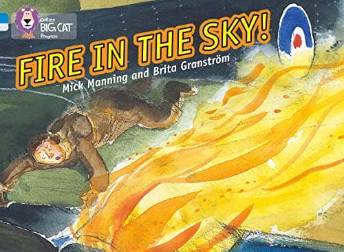 Cover of Fire in the Sky (By: Mick Manning)