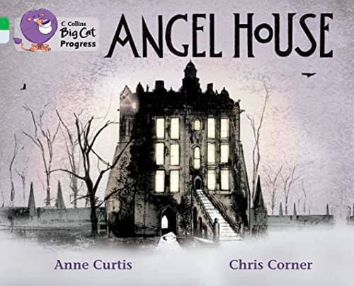 Cover of Angel House (By: Anne Curtis)
