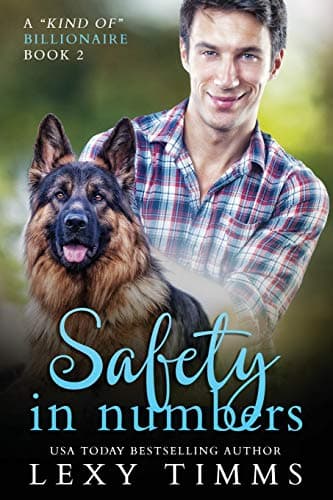 Cover of Safety in Numbers