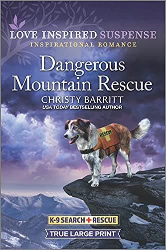 Cover of Dangerous Mountain Rescue