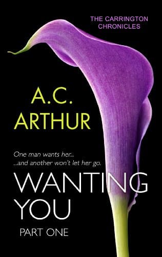 Cover of Wanting You