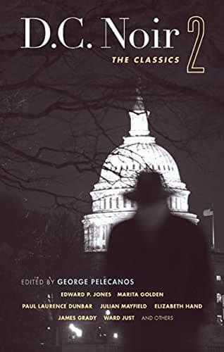 Cover of D.C. Noir 2