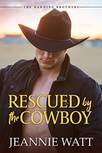 Cover of Rescued by the Cowboy / Austin (By: Jeannie Watt)