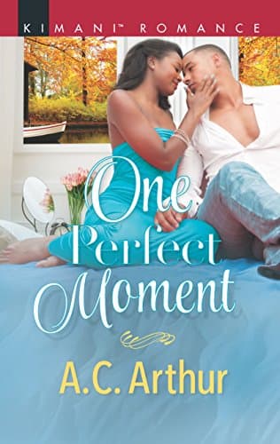 Cover of One Perfect Moment