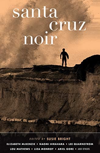 Cover of Santa Cruz Noir