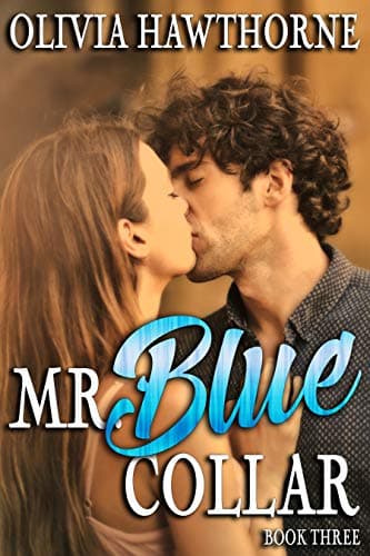 Cover of Mr. Blue Collar, Book Three