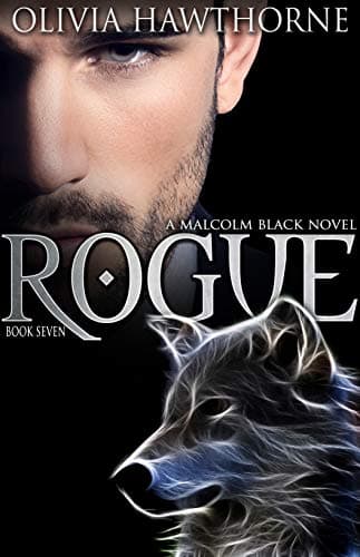 Cover of Rogue Book 7