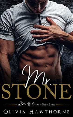 Cover of Mr. Stone