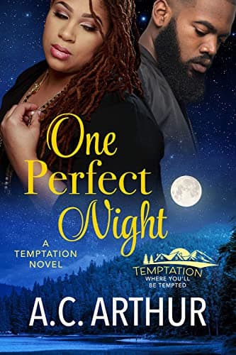 Cover of One Perfect Night