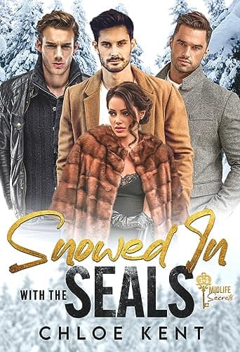 Cover of Snowed in with the SEALs
