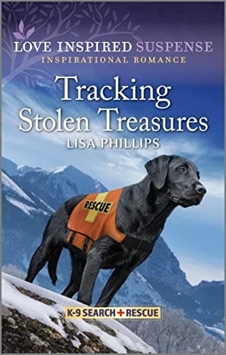 Cover of Tracking Stolen Treasures (By: Lisa Phillips)