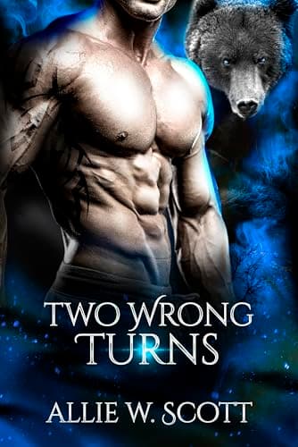 Cover of Two Wrong Turns (By: Allie W. Scott)